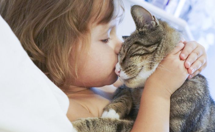 11 λόγοι που οι γάτες μας κάνουν ευτυχισμένους