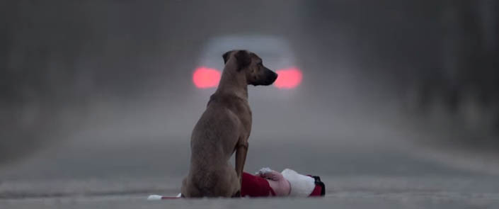 Συγκλονιστικό βίντεο για την εγκατάλειψη των σκύλων!