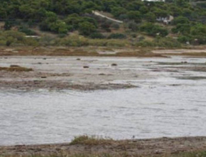 Τριήμερο ενημέρωσης για τον υγρότοπο της Μπρεξίζα στον Δήμο Μαραθώνα, στο πλαίσιο της Πράσινης Εβδομάδας 2015 (3-5 Ιουνίου)
