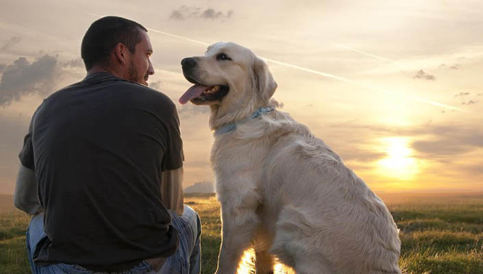5 συμβουλές για να γίνει ο σκύλος σας… ό,τι ακριβώς χρειάζεστε στη ζωή!