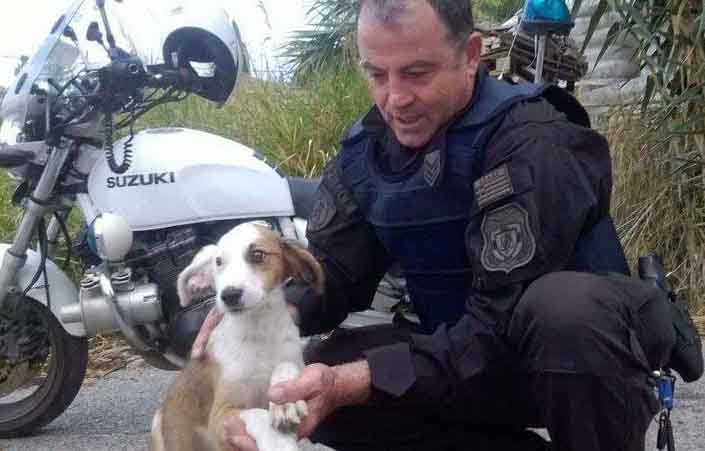 Αστυνομικός της ομάδας ΔΙΑΣ σώζει σκυλάκι από την εθνική οδό και το υιοθετεί