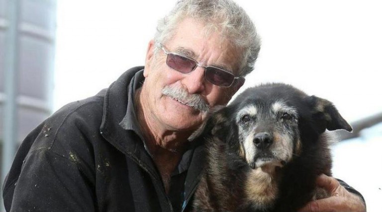 Πέθανε ο «γηραιότερος σκύλος στον κόσμο» ηλικίας 30 ετών. Την έλεγαν Μάγκι και ήταν από την Αυστραλία
