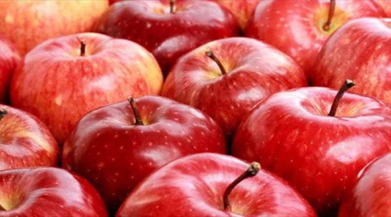 Αρνητικό πρόσημο για μήλο και μανταρίνι – Δυναμική πορεία για ακτινίδιο