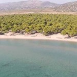 Μαραθώνας: Τι εξετάζουν οι αρχές για τη σορό που βρέθηκε με βαρίδι στη θάλασσα στο Σχινιά – Που στρέφονται οι έρευνες (βίντεο)