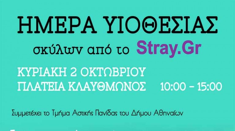 Πρώτη “Ημέρα Υιοθεσίας” σκύλων από το Stray.gr