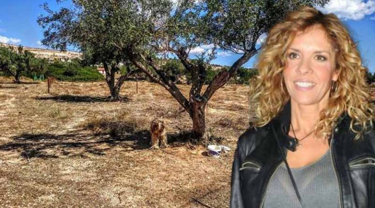 Γνωστή ηθοποιός βρήκε σκύλο δεμένο σε ελιά, παρατημένο σε χωράφι στο Κορωπί!