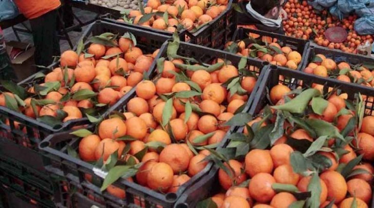 Είδος πολυτελείας τα πορτοκάλια – Πόσο πωλούνται σε σούπερ μάρκετ και λαϊκές