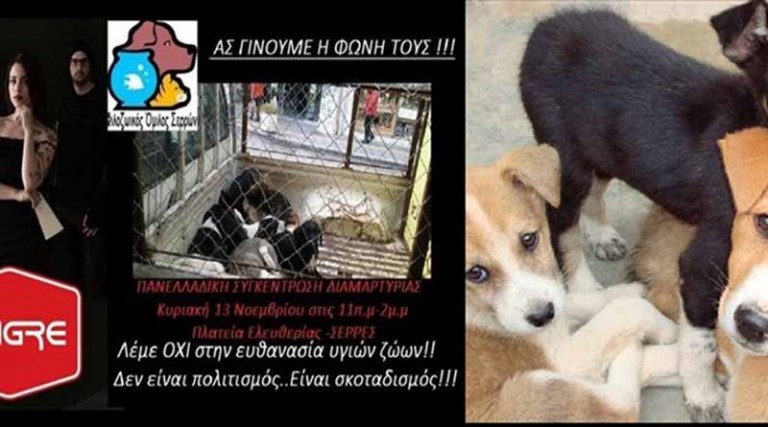 Πανελλαδική συγκέντρωση κατά της ευθανασίας αδέσποτων ζώων στις Σέρρες-Ας γίνουμε η φωνή τους