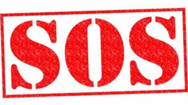 SOS: Εγκατάλειψη στη Ραφήνα! Αναζητάμε τον σκυλάκο