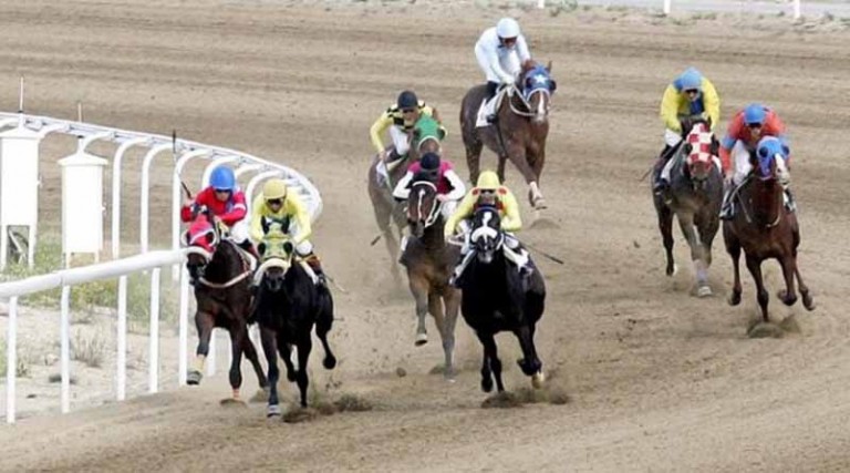 Μαρκόπουλο: SOS για 172 άλογα αγώνων που φιλοξενούνται στον Ιππόδρομο