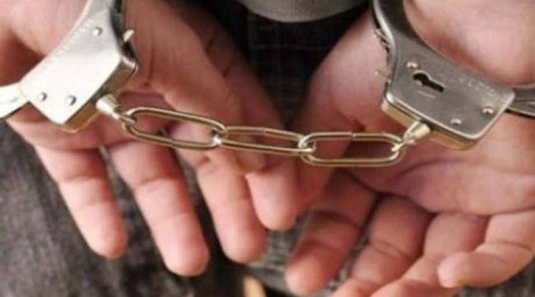 Συνελήφθη 62χρονος και ομολόγησε εμπρησμό στο Αλιβέρι