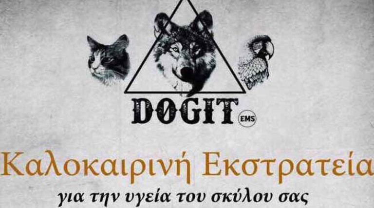 Dogit! Συνάντηση-Καλοκαιρινή εκστρατεία για την υγεία του σκύλου σας