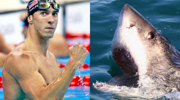 O Phelps θα κάνει το ακατόρθωτο! Θα αγωνιστεί με αντίπαλο έναν λευκό καρχαρία! (βίντεο)