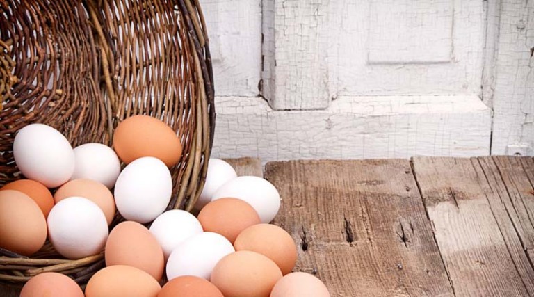 Ξέσπασμα σαλμονέλας από μολυσμένα αυγά στην Ευρώπη – Ποια η κατάσταση στην Ελλάδα