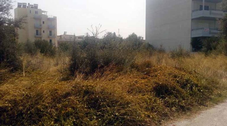 Δήμος Ραφήνας Πικερμίου: Ενημέρωση για τους τρόπους επιβολής προστίμων για ακαθάριστα οικόπεδα – Οι δύο κατηγορίες