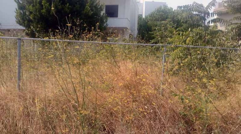 Ραφήνα: Βαριά καμπάνα από τον Δήμο για ακαθάριστο οικόπεδο στον Νηρέα
