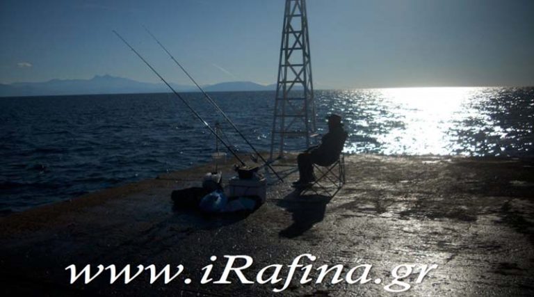 Πρωινά ψαρέματα στο λιμάνι της Ραφήνας (φωτό)