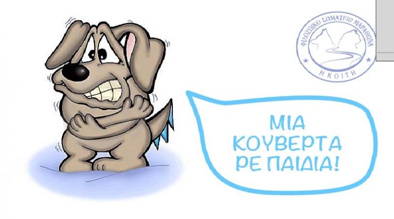 Φιλοζωικό Σωματείο Μαραθώνα: Κουβέρτες για τα σκυλάκια μας!