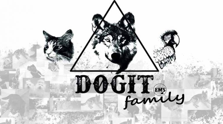Dogit! Γιορτάζουμε την Παγκόσμια Ημέρα Ζώων Κυριακή, 3 Οκτώβρη
