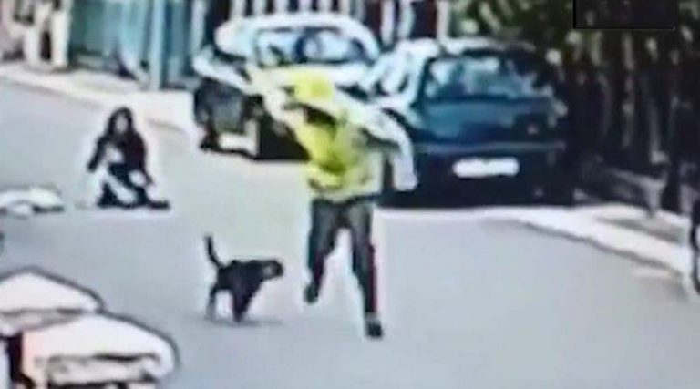Αδέσποτος σκύλος σώζει γυναίκα από θρασύτατο ληστή (βίντεο)