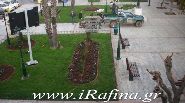 Ο Δήμος και η «Κηποδομή»… ομορφαίνουν την πλατεία της Ραφήνας (φωτό)