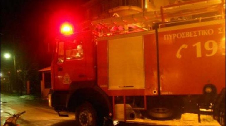 Φωτιά στην Αρτέμιδα – Άμεση επέμβαση της Πυροσβεστικής