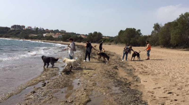 DogIt: Περίπατος με τα σκυλιά μας στη Ραφήνα