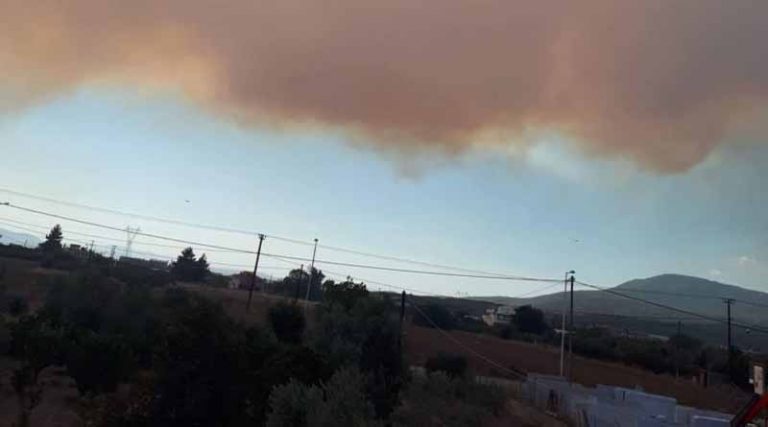 Φωτιά στην Εύβοια: 12.000 στρέμματα έγιναν στάχτη