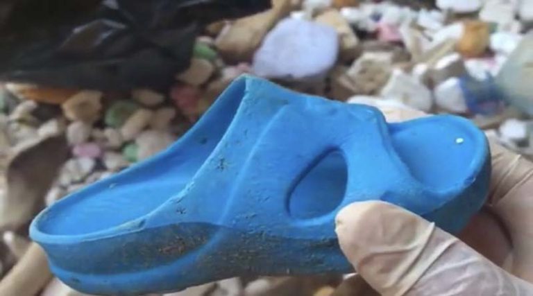 Δείτε πασίγνωστο “πιλότο” της F1 να μαζεύει σκουπίδια από τις παραλίες της Μυκόνου (φωτό & βίντεο)