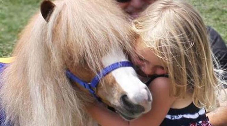 Τα θεραπευτικά αλογάκια της Ραφήνας θα βρεθούν σύντομα κοντά στα παιδιά με τις τραυματικές εμπειρίες των τελευταίων ημερών