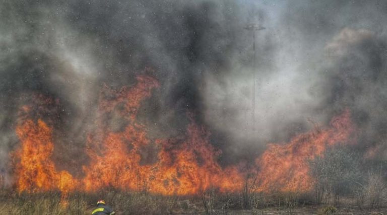 Μαίνεται πυρκαγιά σε αναγεννημένο δάσος στη Σμέρνα Ηλείας – Ενισχύονται οι δυνάμεις της Πυροσβεστικής