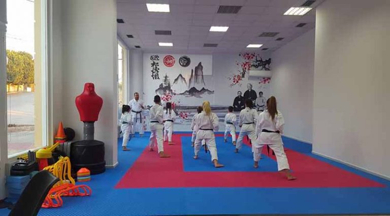 Οι προπονήσεις ξεκίνησαν στην Ακαδημία Shotokan Karate Ραφήνας