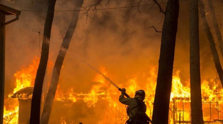 Απίστευτο! Γιγάντιο δέντρο καίγεται στην Καλιφόρνια από πέρσι το καλοκαίρι! (φωτό)
