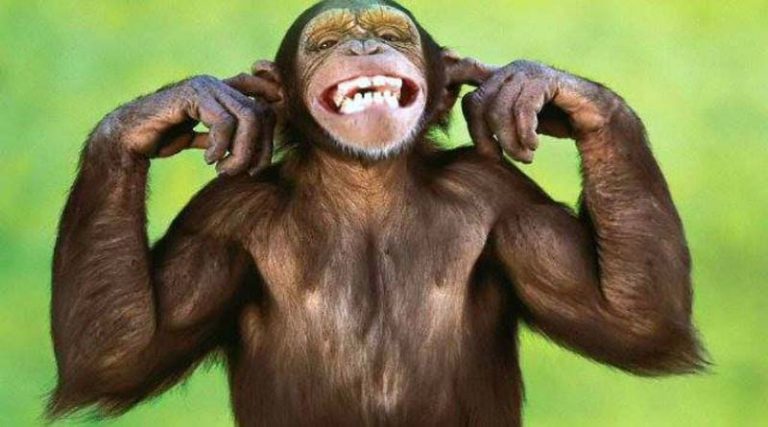 Ανδρ. Βασιλόπουλος: Λυπηρό εν έτη 2018 να υπάρχουν “μαϊμού” δημοσκοπήσεις και “μαϊμούδες” που τις παραγγέλνουν