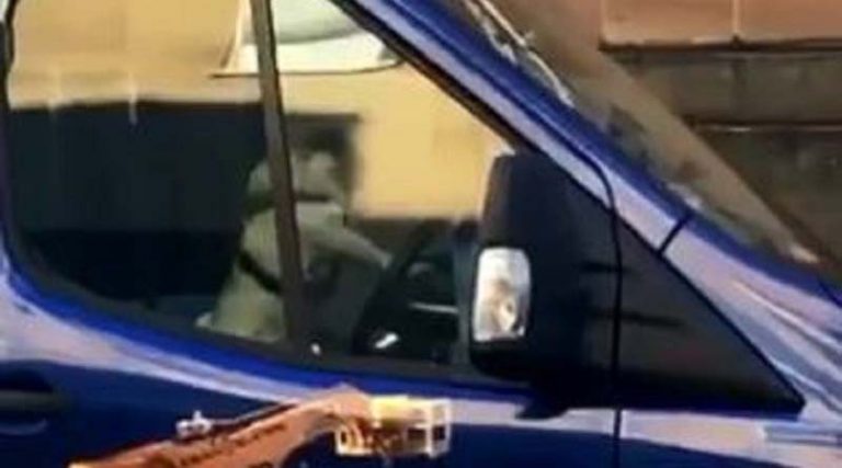 Κλείδωσε τον σκύλο στο αυτοκίνητο και αυτός άρχισε να… κορνάρει! (βίντεο)