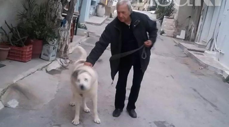 Το σκυλί από την Παλλήνη, που προκάλεσε συγκίνηση στην Κρήτη!