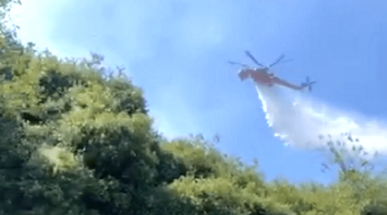 Φωτιά στην Εύβοια – Και ελικόπτερα στη μάχη της κατάσβεσης!