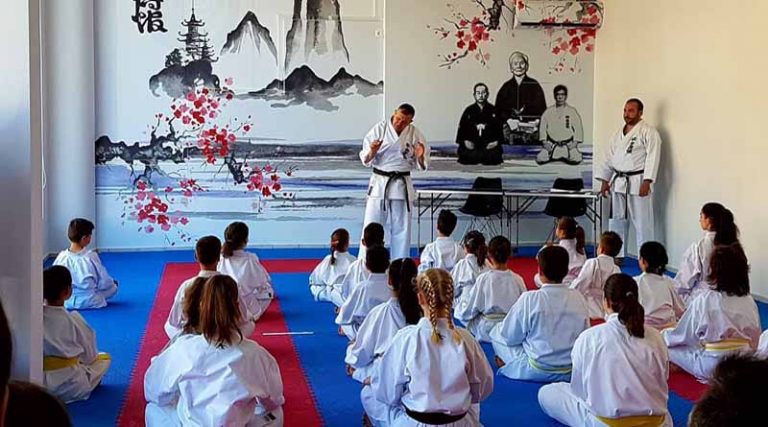 Ολοκληρώθηκαν με απόλυτη επιτυχία οι εξετάσεις στην Ακαδημία Shotokan Karate Ραφήνας