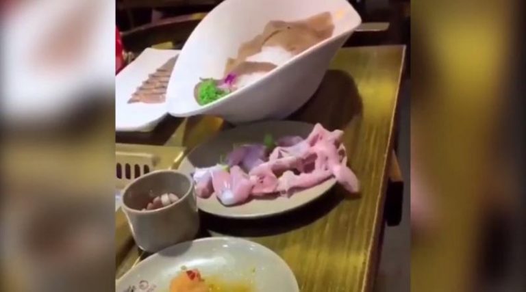 Σοκαριστικό βίντεο: Κοτόπουλο «ζόμπι» κινείται μπροστά στα έκπληκτα μάτια πελατών εστιατορίου!