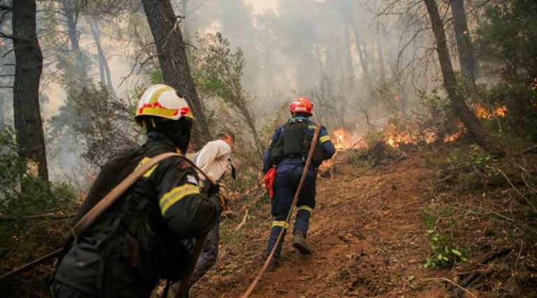 Συνελήφθησαν δύο εμπρηστές για τις πυρκαγιές σε Ηλεία & Μεσσηνία – Σε εξέλιξη φωτιά στην Αργολίδα