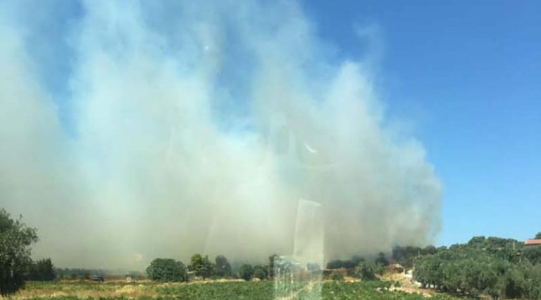 Μεγάλη φωτιά στην Αρτέμιδα: Ενισχύονται οι δυνάμεις της Πυροσβεστικής!