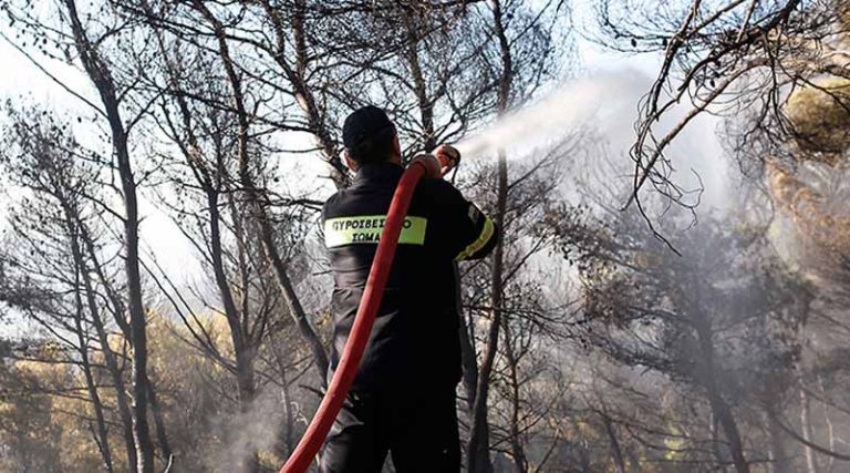 Εμπρηστή κατ’ εξακολούθηση υποπτεύονται οι αρχές πίσω από τις πυρκαγιές στην Ηλεία – Εβαλε 5 φωτιές σε 1 χλμ !
