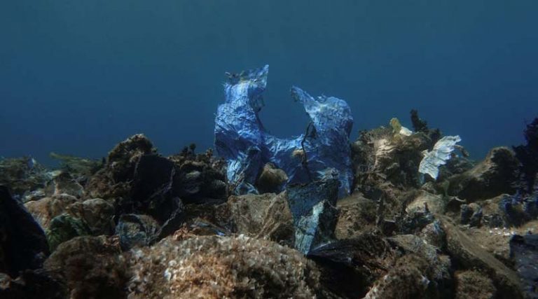 ΟΟΣΑ: Προβλέπει τριπλασιασμό των παγκόσμιων πλαστικών απορριμμάτων