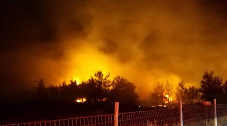 Νέα Μάκρη: Εικόνες από τη φωτιά στην Αγία Μαρίνα (φωτό)