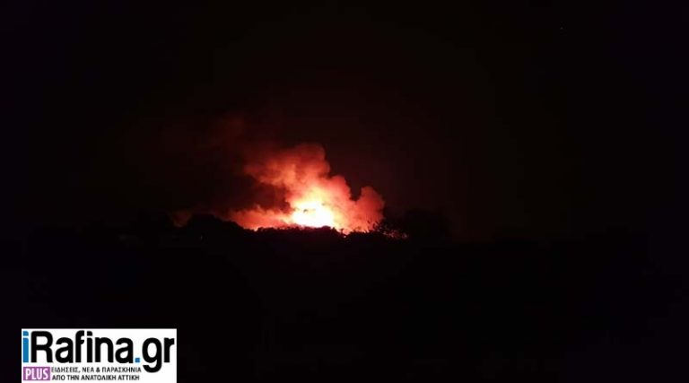 Φωτιά στη Νέα Μάκρη: Καταγγελία κατοίκου – Η πεθερά μου είδε όχημα στο δάσος (βίντεο)