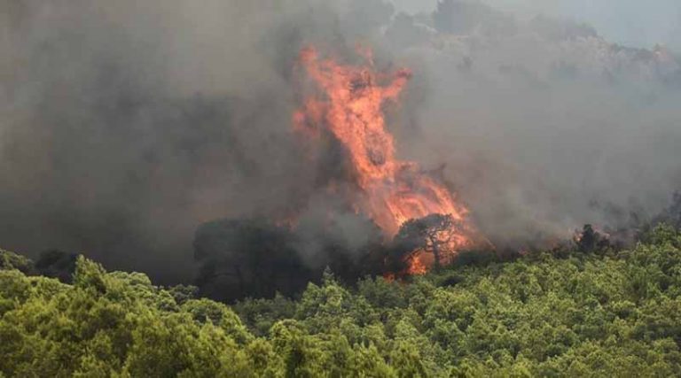 Μεγάλη φωτιά στην Εύβοια – Ισχυρές δυνάμεις πυρόσβεσης στην περιοχή