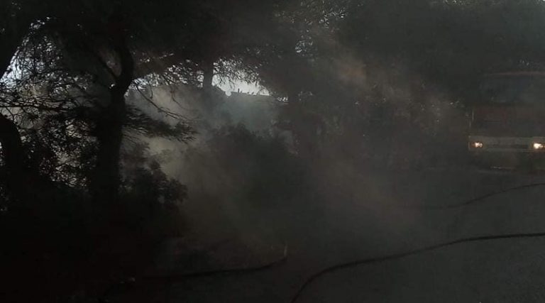 Ραφήνα: Εικόνες από τη φωτιά στην Καλλιτεχνούπολη (φωτό)