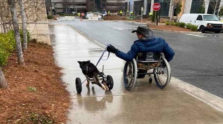 Υιοθέτησε σκύλο για να τον “καταλαβαίνει” – Είναι και οι δύο σε αναπηρικό αμαξίδιο