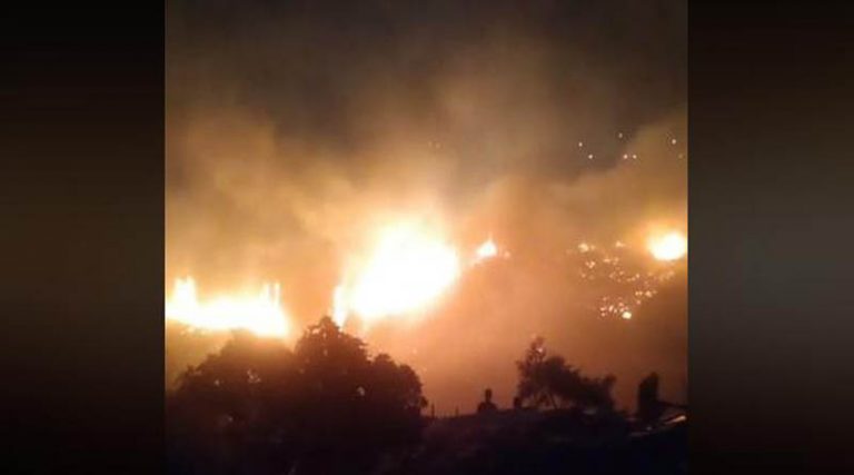 Άμεση η επέμβαση της Πυροσβεστικής για τη φωτιά στο Γέρακα (φωτό & βίντεο)