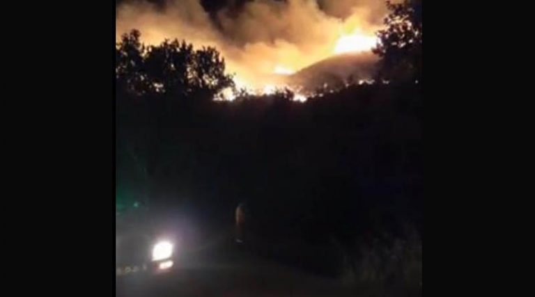 Φωτιά στην Κρήτη: Ολονύκτια μάχη με τις φλόγες για τους πυροσβέστες